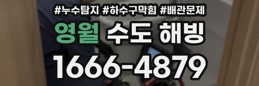 영월 수도 해빙