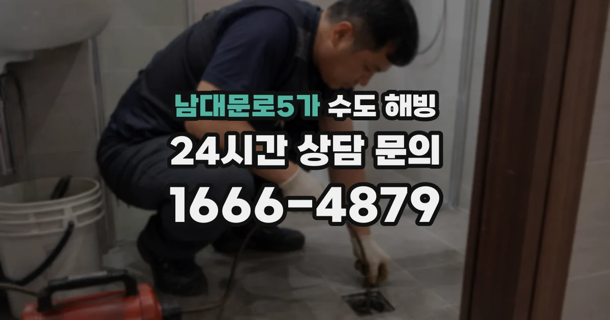 남대문로5가 수도 해빙