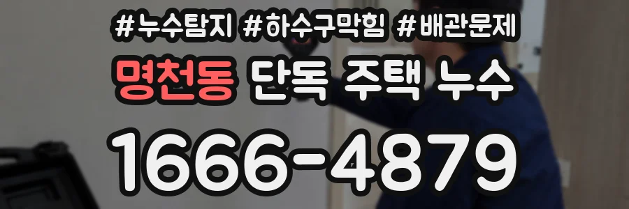 명천동 단독 주택 누수