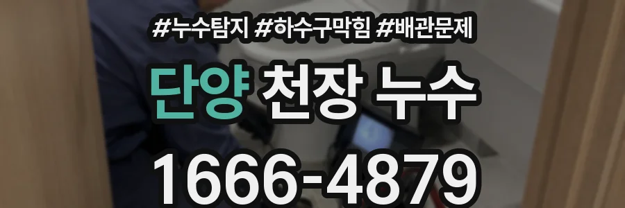 단양 천장 누수