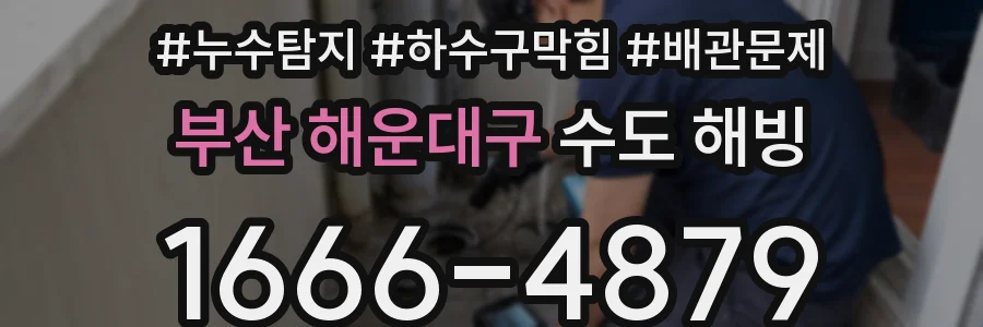 부산 해운대구 수도 해빙
