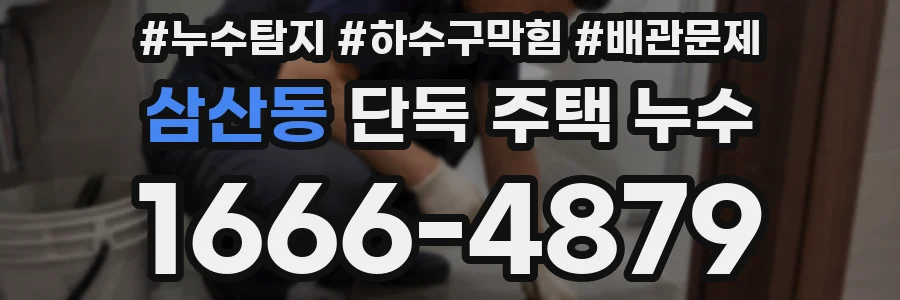 삼산동 단독 주택 누수