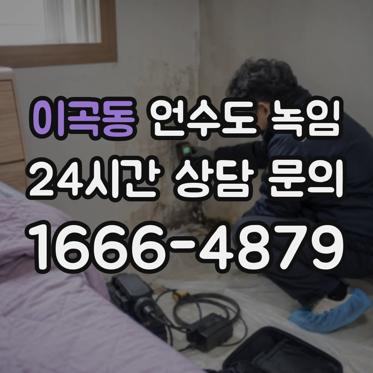 이곡동 언수도 녹임