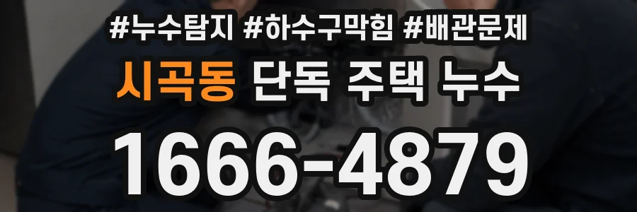 시곡동 단독 주택 누수