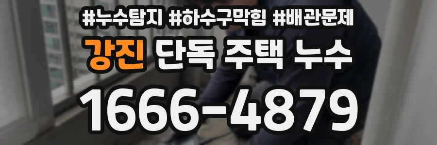 강진 단독 주택 누수