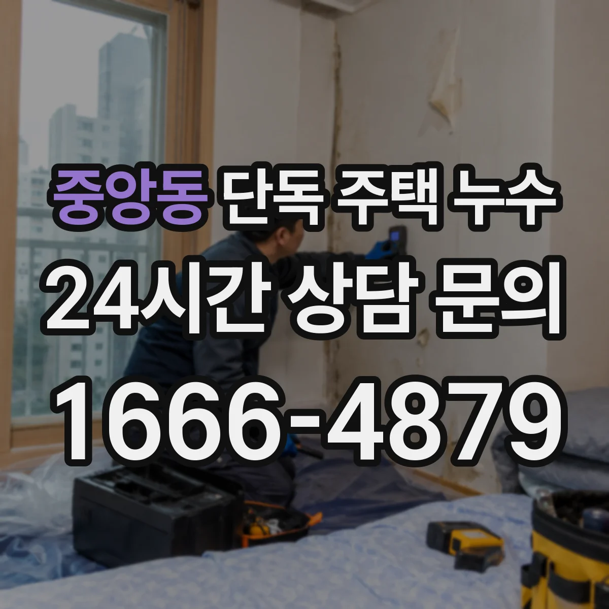 중앙동 단독 주택 누수