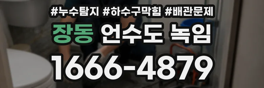 장동 언수도 녹임
