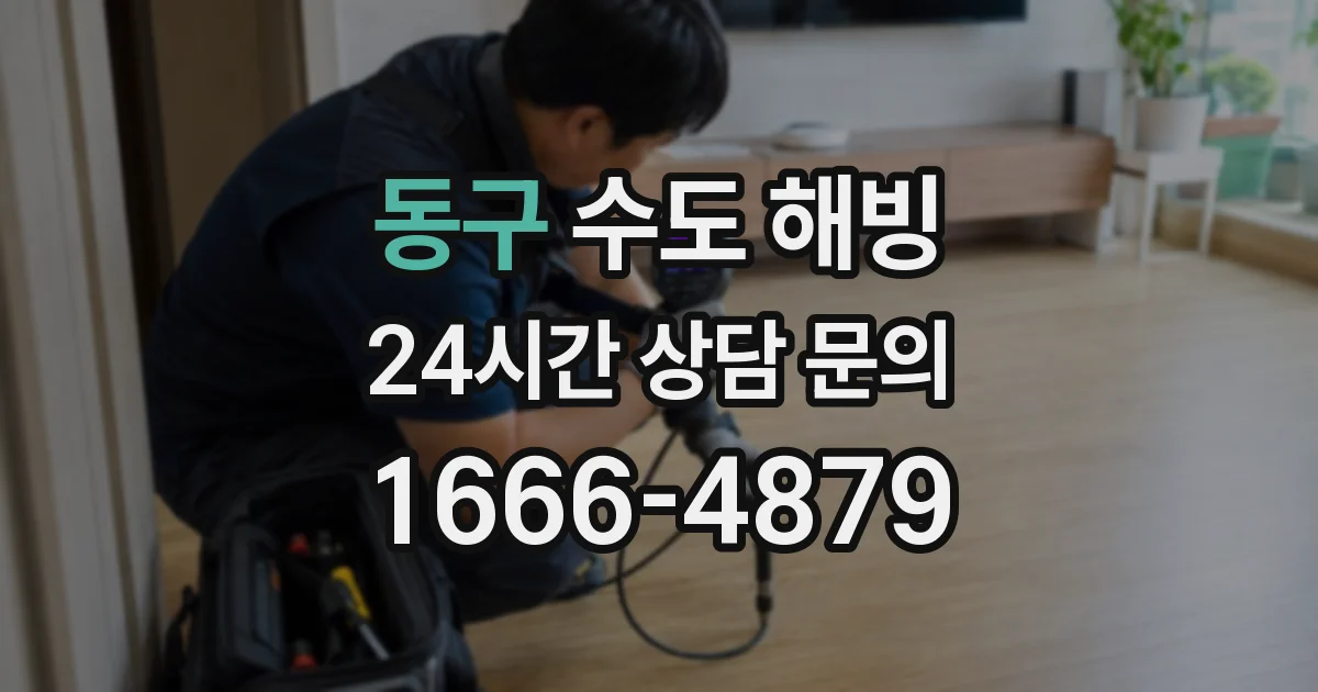 동구 수도 해빙