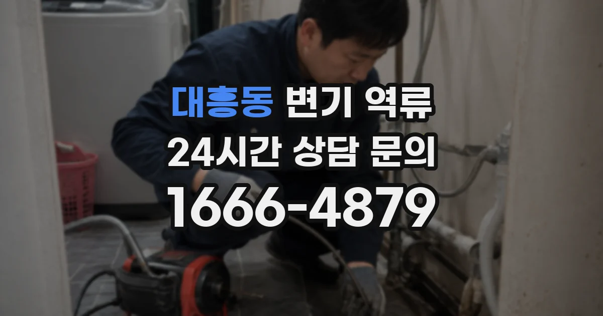 대흥동 변기 역류