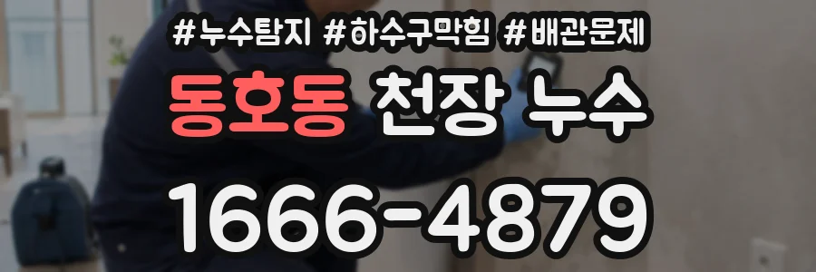 동호동 천장 누수