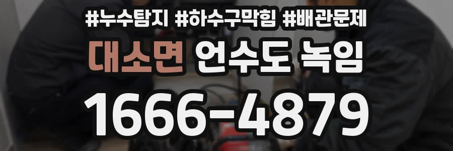 대소면 언수도 녹임