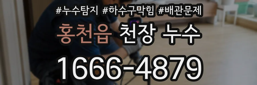 홍천읍 천장 누수