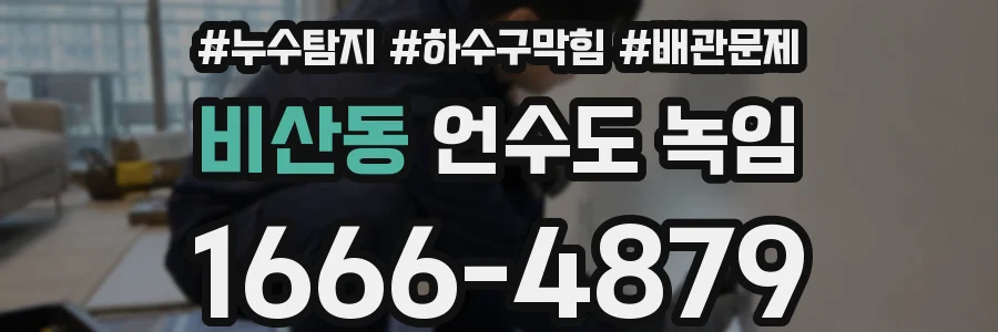 비산동 언수도 녹임
