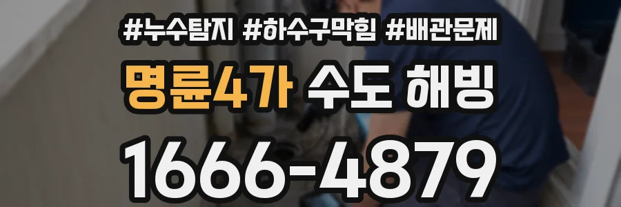 명륜4가 수도 해빙