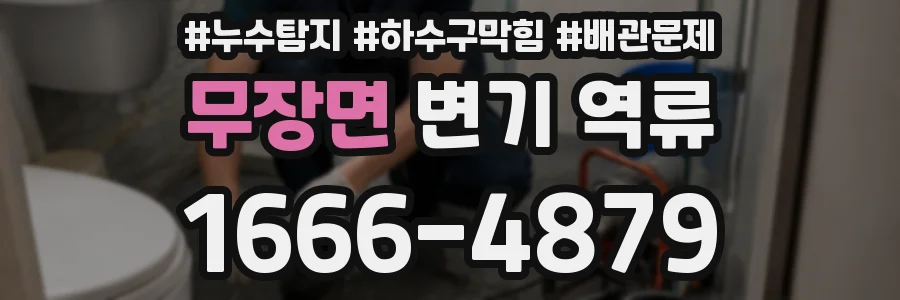 무장면 변기 역류