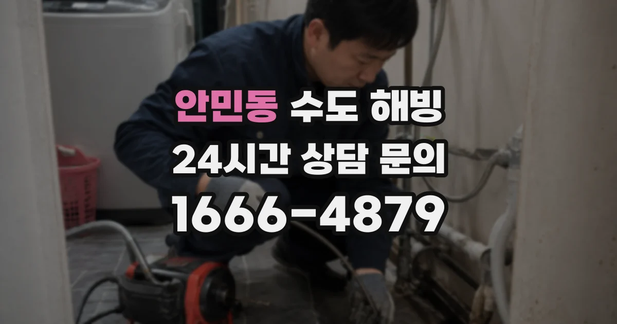 안민동 수도 해빙