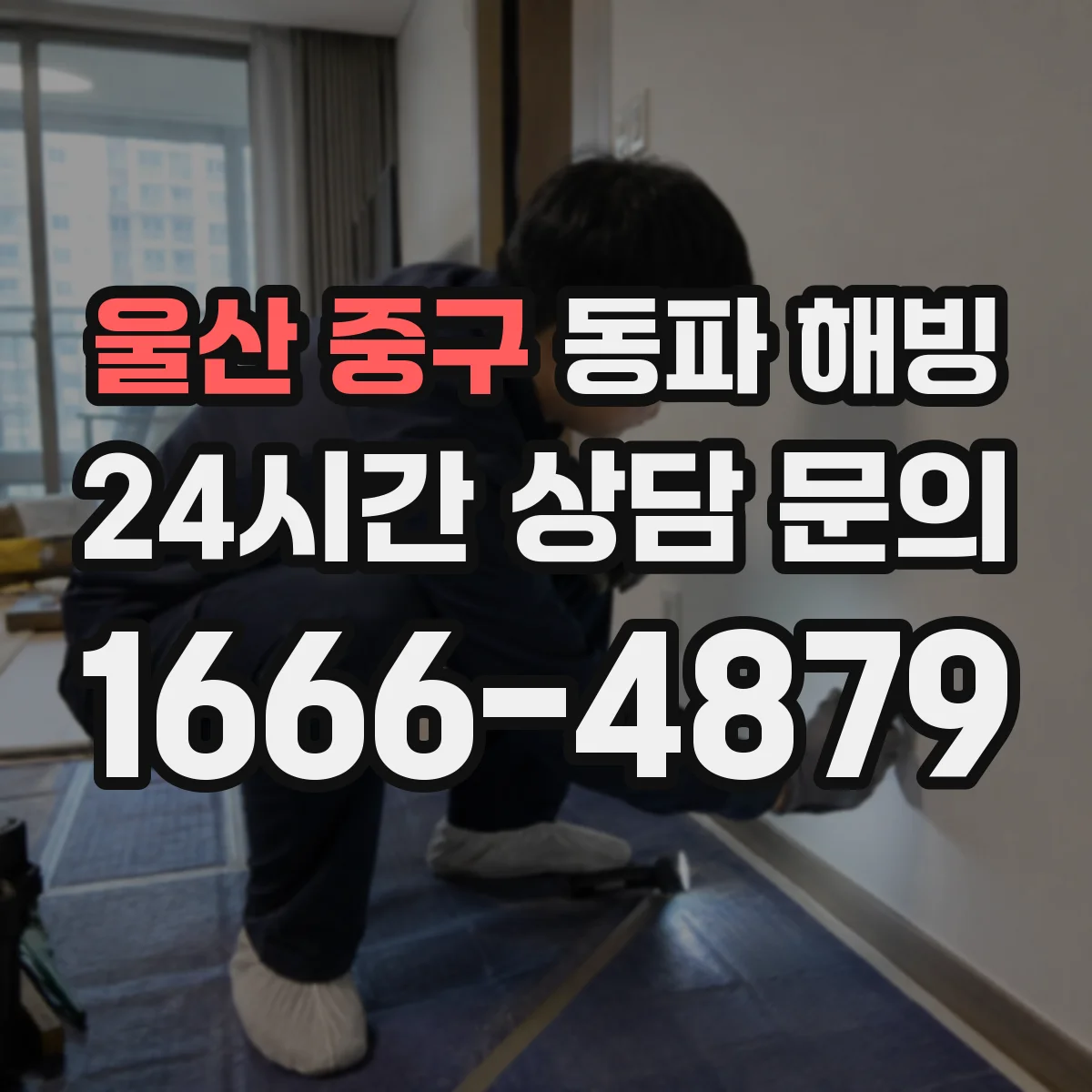 울산 중구 동파 해빙 계절별 해빙 온도 감각과 바람 세기 조절