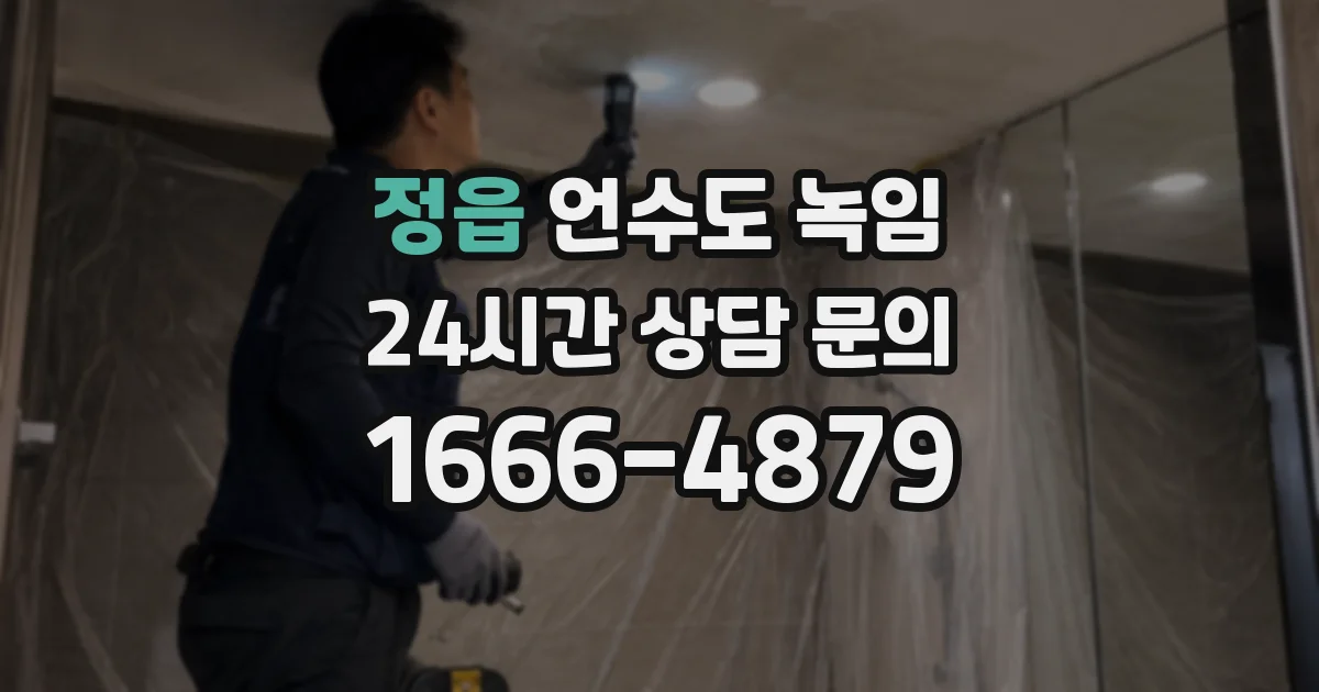 정읍 언수도 녹임