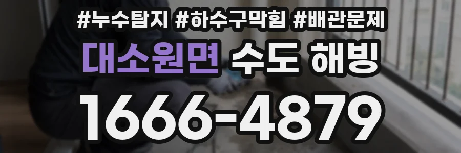 대소원면 수도 해빙