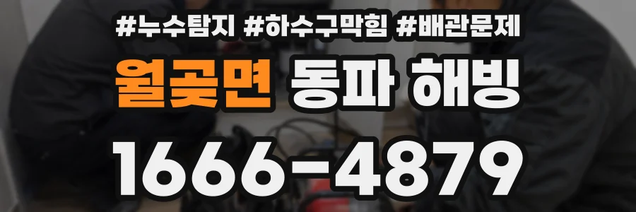 월곶면 동파 해빙