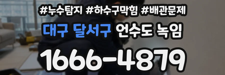 대구 달서구 언수도 녹임