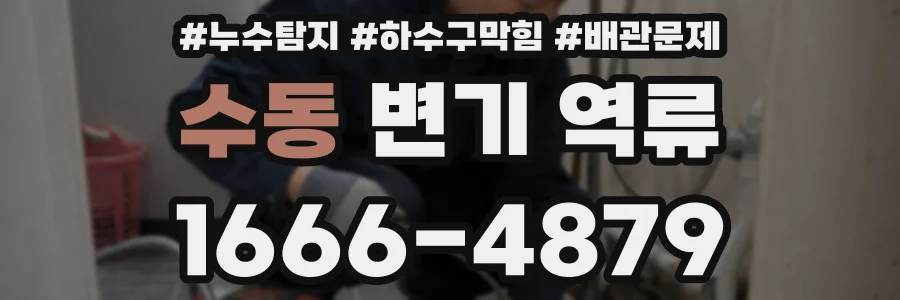 수동 변기 역류