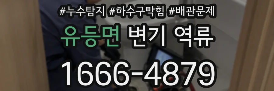 유등면 변기 역류