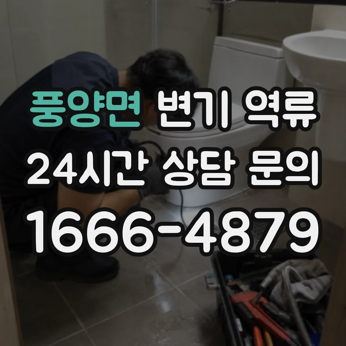 풍양면 변기 역류