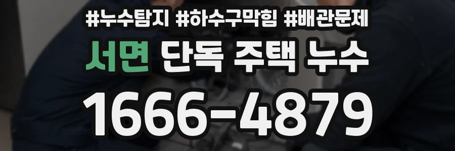 서면 단독 주택 누수