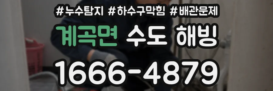 계곡면 수도 해빙