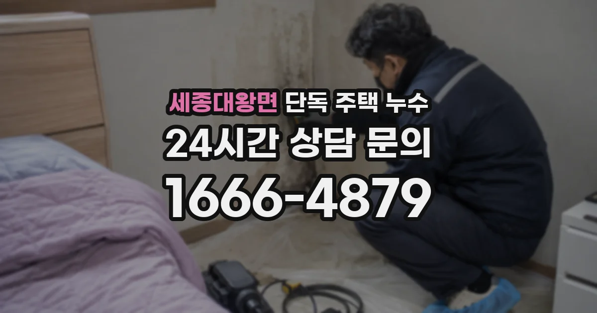세종대왕면 단독 주택 누수