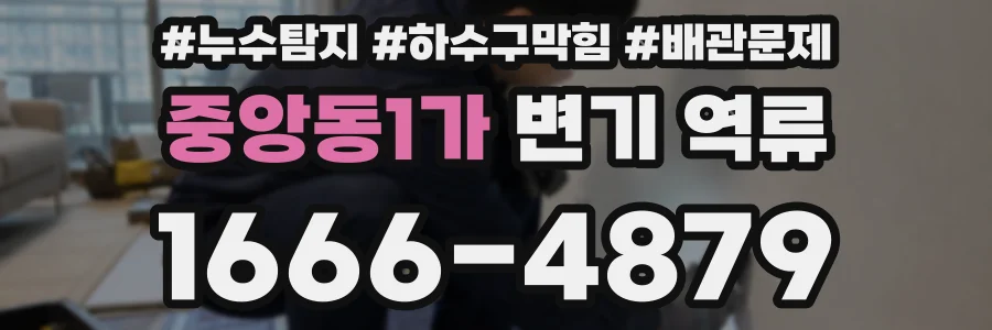 중앙동1가 변기 역류