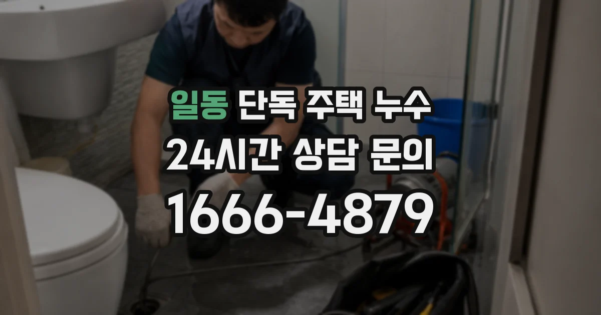 일동 단독 주택 누수