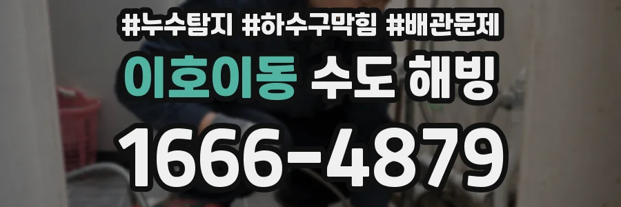 이호이동 수도 해빙