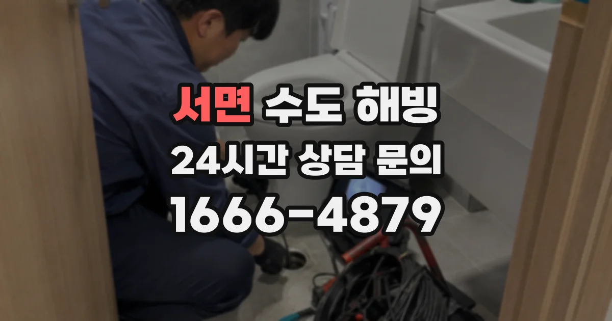 서면 수도 해빙