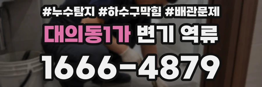 대의동1가 변기 역류
