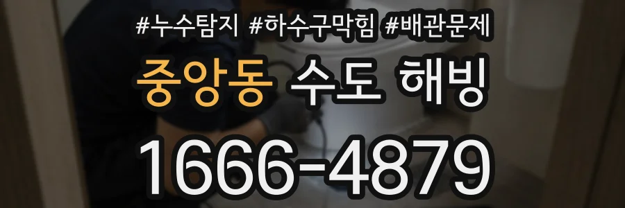 중앙동 수도 해빙