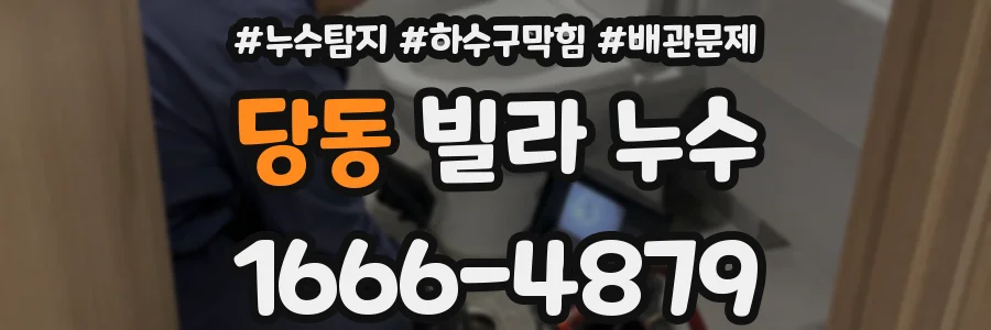 당동 빌라 누수
