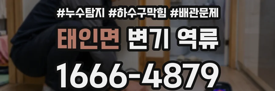 태인면 변기 역류