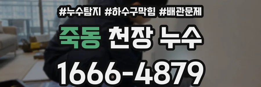 죽동 천장 누수