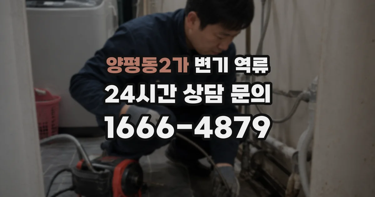 양평동2가 변기 역류
