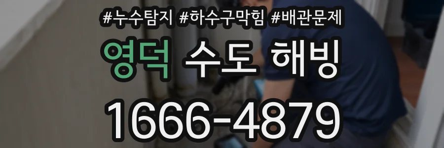 영덕 수도 해빙