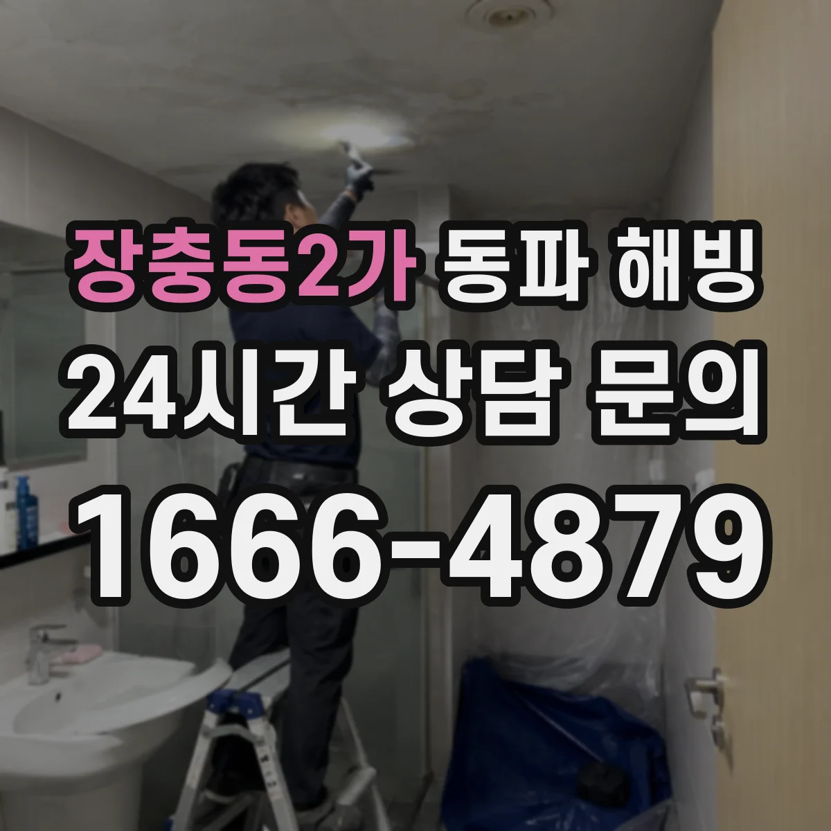 장충동2가 동파 해빙