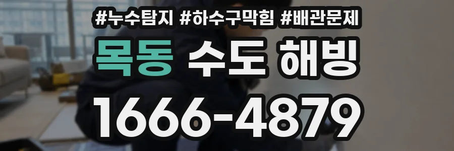 목동 수도 해빙