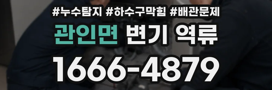 관인면 변기 역류