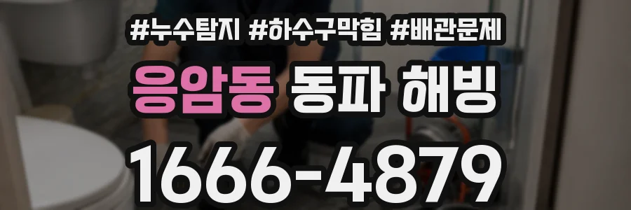 응암동 동파 해빙