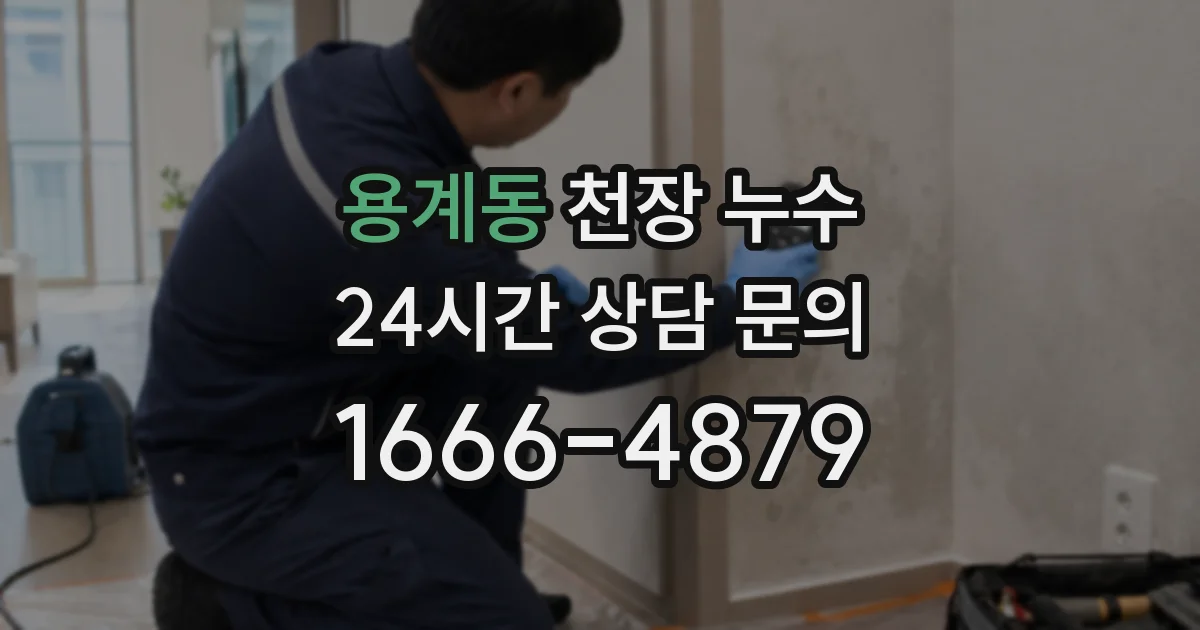 용계동 천장 누수