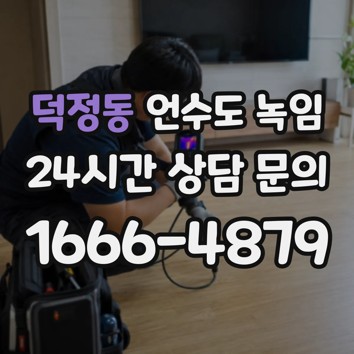 덕정동 언수도 녹임