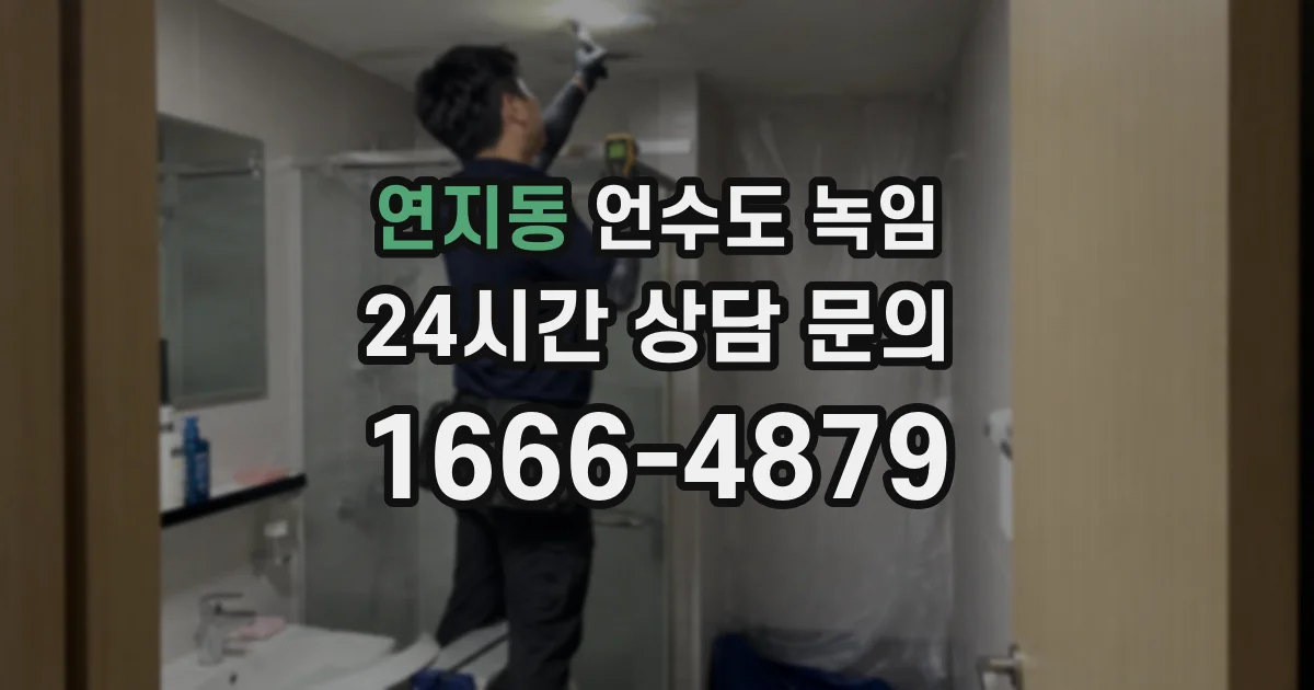 연지동 언수도 녹임