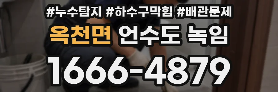 옥천면 언수도 녹임
